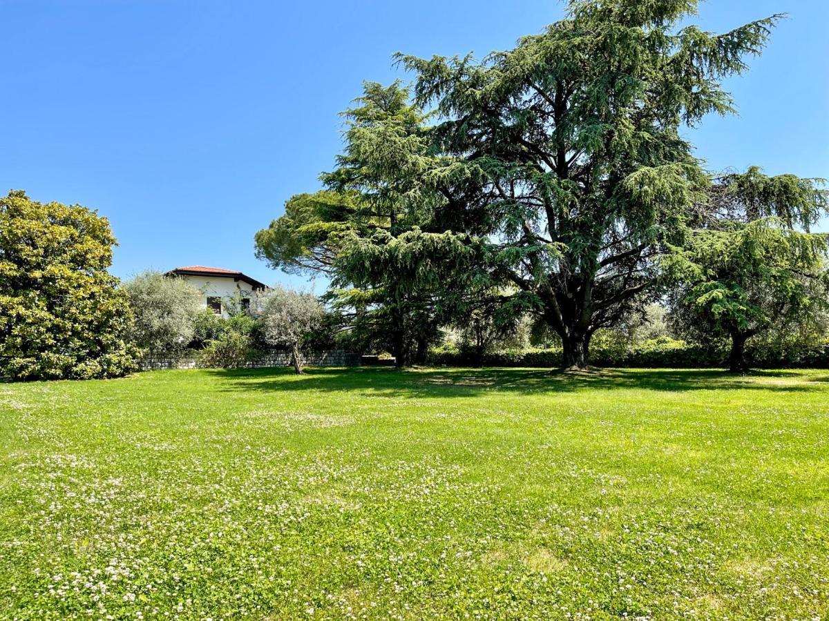 Villa Antonio San Felice del Benaco Bagian luar foto