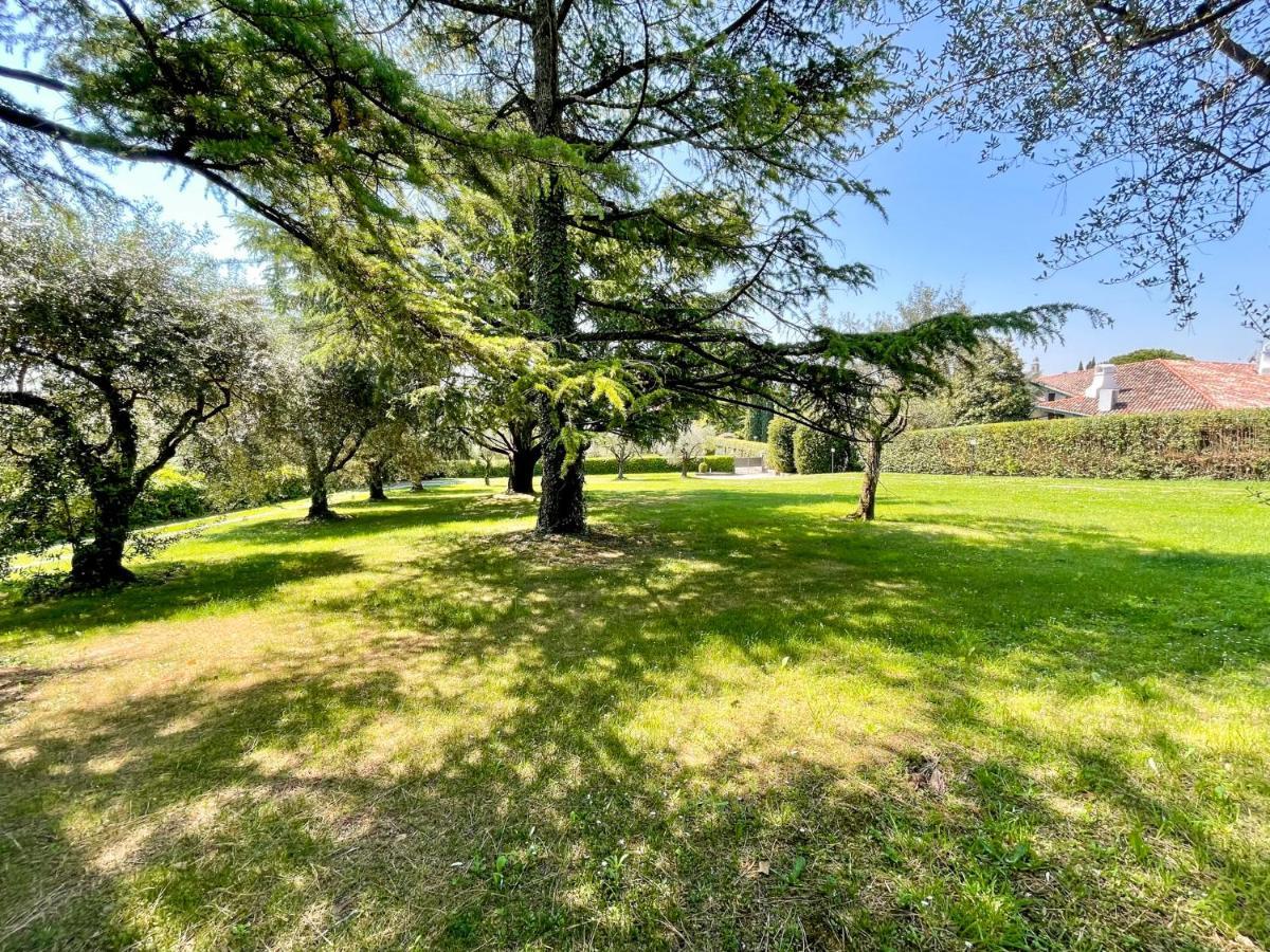 Villa Antonio San Felice del Benaco Bagian luar foto